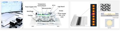 Simultaneous Isolation of Circulating Nucleic Acids and EV-Associated Protein Biomarkers From Unprocessed Plasma Using an AC Electrokinetics-Based Platform